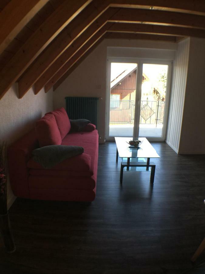 Ferienwohnung Alte B3 Рингсхайм Экстерьер фото