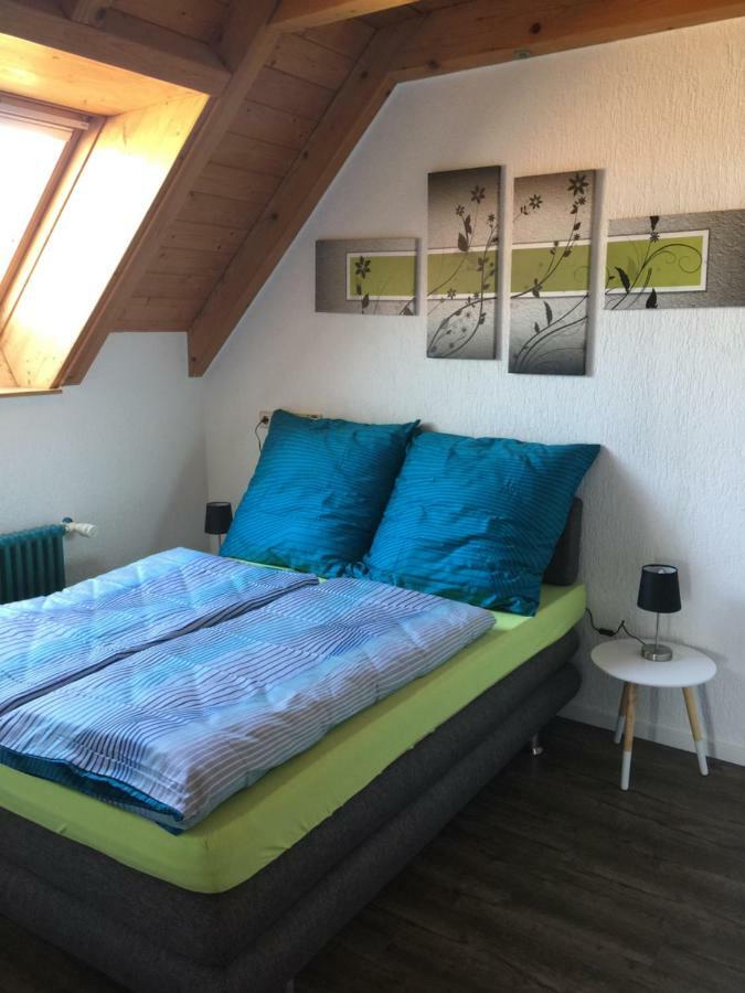 Ferienwohnung Alte B3 Рингсхайм Экстерьер фото
